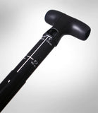Werner - SESSION - Adjustable